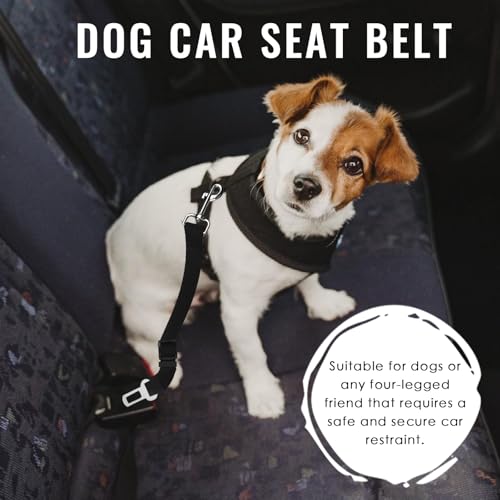 1 Stück Verstellbarer Hunde Sicherheitsgurt fürs Auto, Nylonleine mit Haken, Höchste Sicherheit für alle Hunderassen und Katzen, Kompatibel mit Allen Autotypen