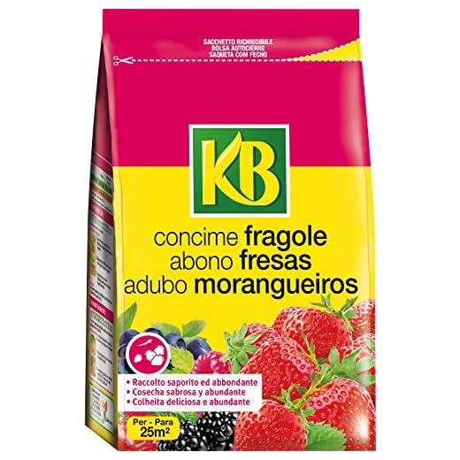 KB Concime Fragole 800 g