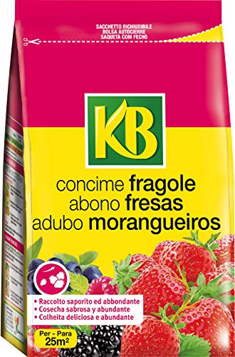 KB Concime Fragole 800 g