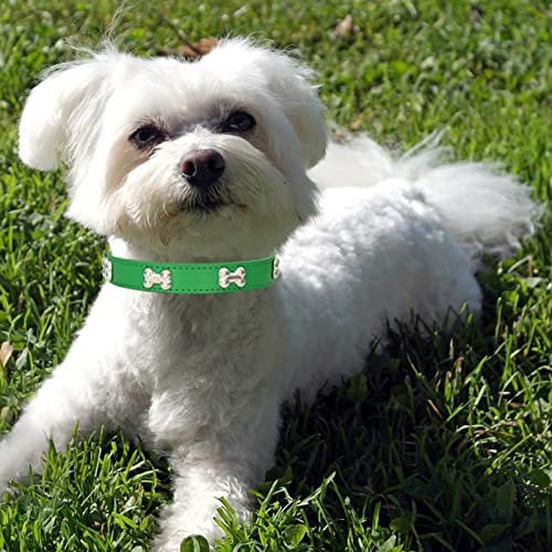 HALFSUMO Leather Dog Collar Dog Collar Combo Set Dog Collars Adjustable Puppy Collar for Small Medium Dogs Cats Green S - Image 2