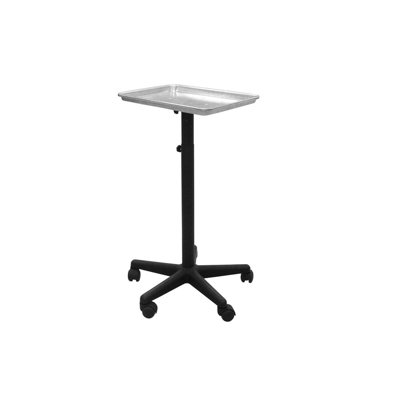 Silver Service Tray for Salon Chemical Hair Coloring (Model:T011)