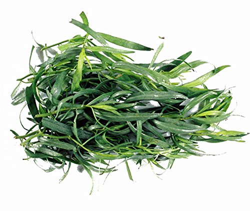 Tarragon, Tarragon Herb Seed, Non- Gmo, 20 Seeds Per Package #TOP2