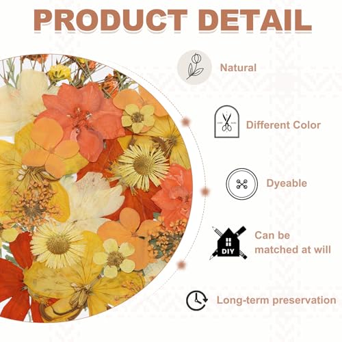 PATIKIL 30 Piezas Flores Secas Prensadas Naturales Naranjas miniatura 3