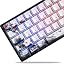 Cherry Blossom 2