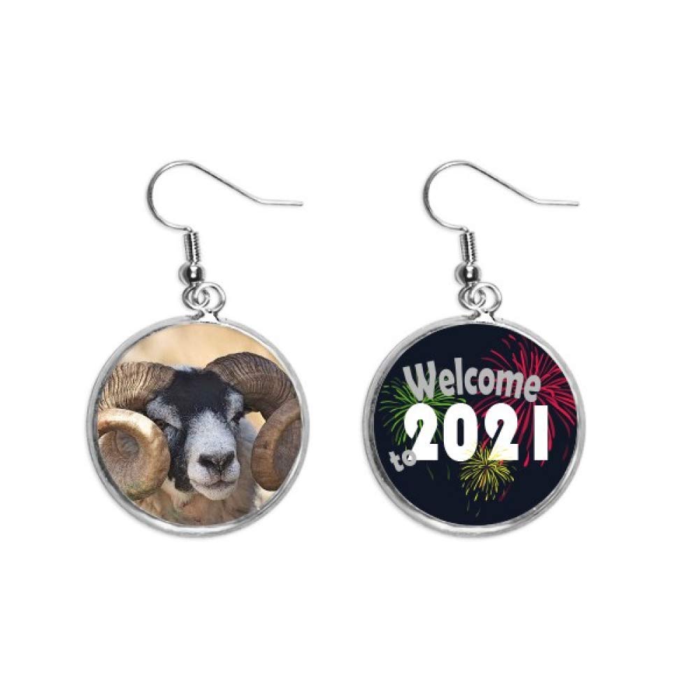 Pendientes de diseño animal en plata M ligeros que evitan alergias 5