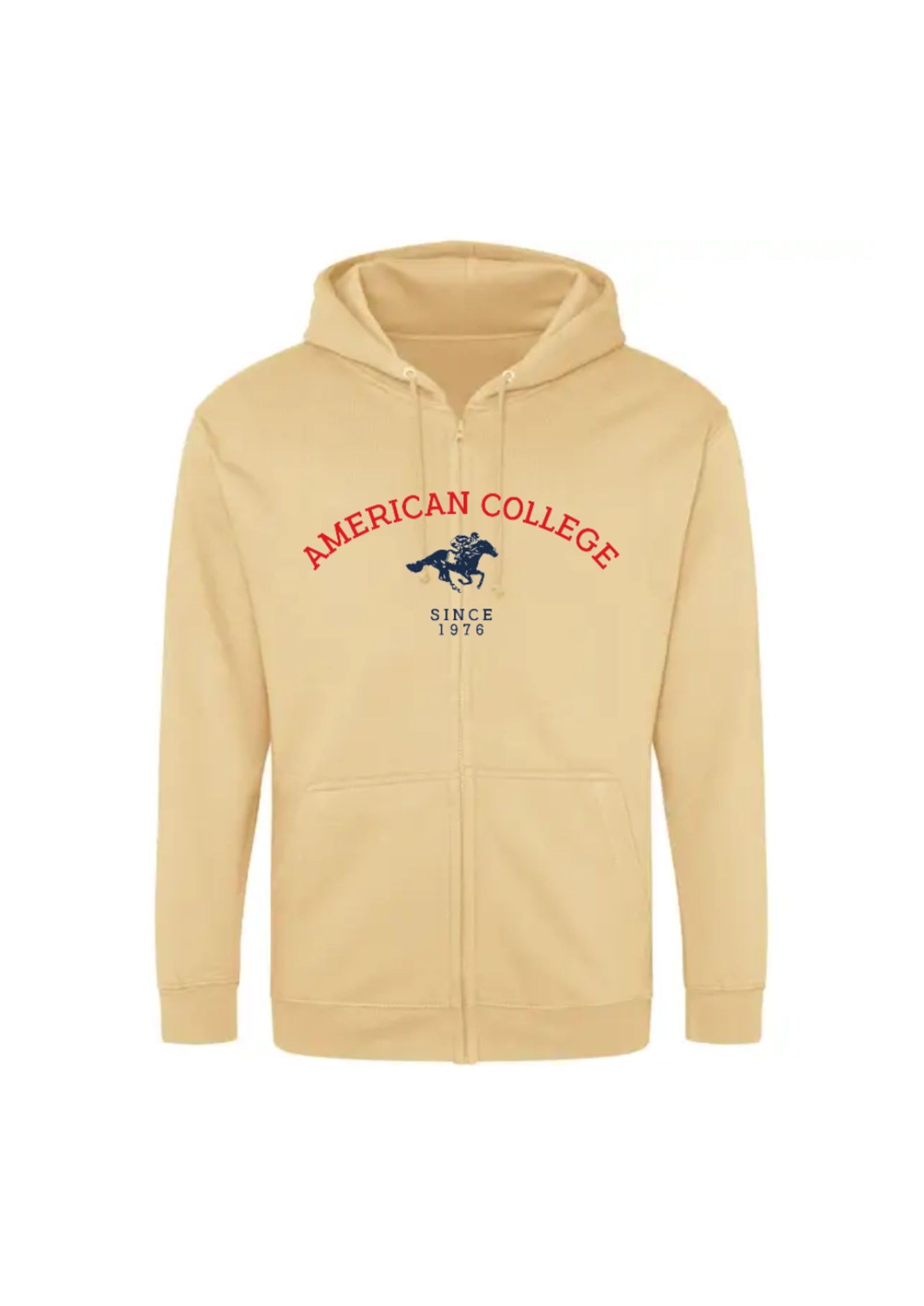 Vente rivée American College - Bombers, sweats &am; baskets as cher
