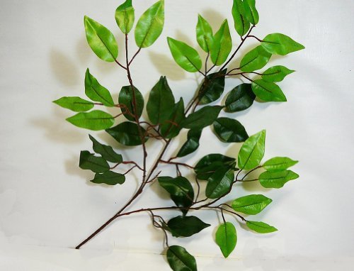 Artificial Silk Ficus Leaf Branches, Bundle of 6 Stems, Darker Green & Lighter Green Growth on end.