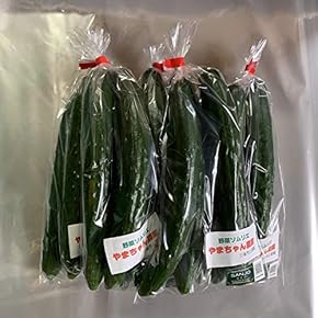 あめちゃんず☆6/28収穫分/新鮮きゅうり訳あり曲がりあり/ネコポス発送 あめちゃんず☆6/28収穫分/新鮮きゅうり訳あり曲がりあり