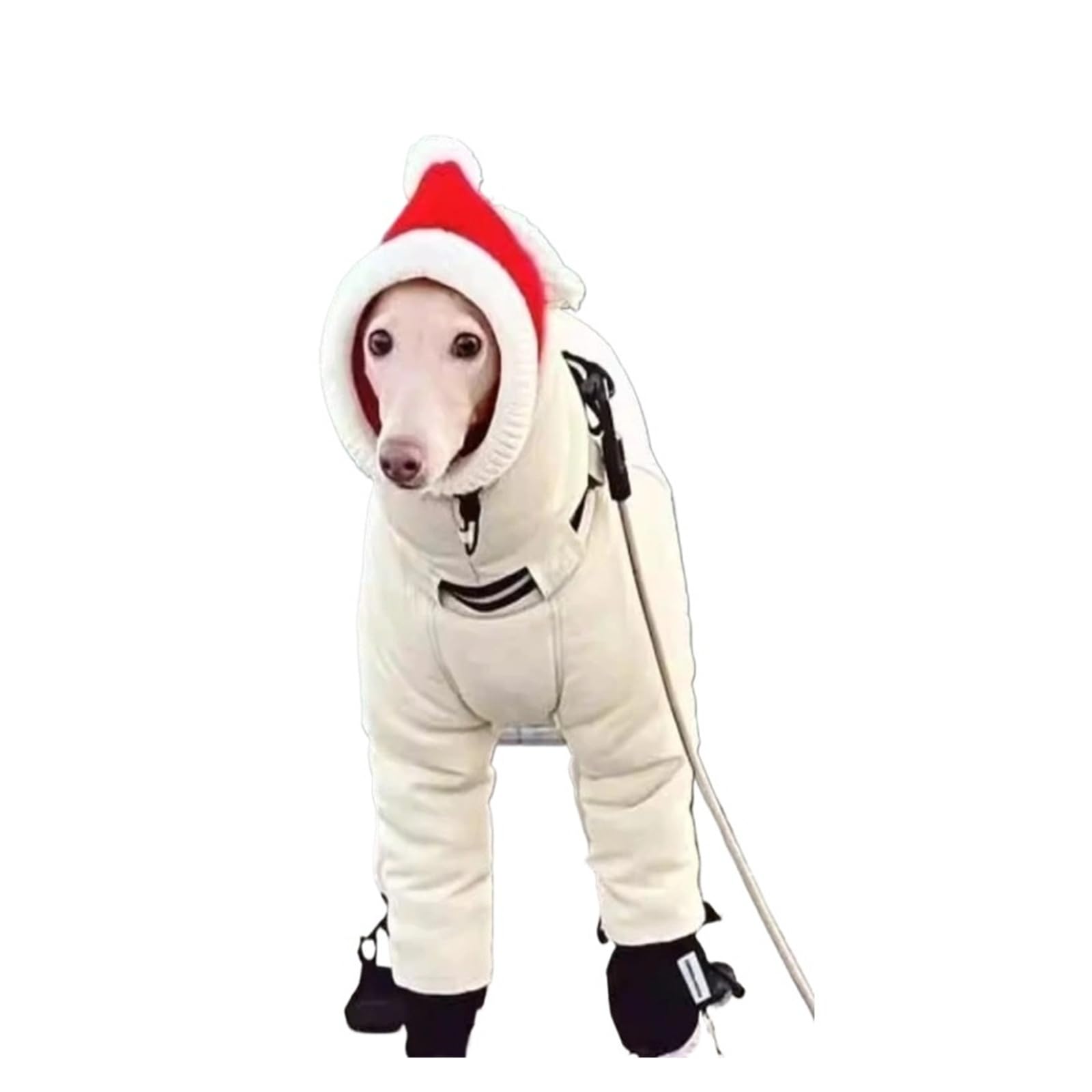 Zimowe ubrania dla psów Ciepłe, wszechstronne bawełniane ubranka Greyhound Dobbin Alaska Duże zimne stroje zwierząt Kurtki szczeniąt(2XL 14-17kg)
