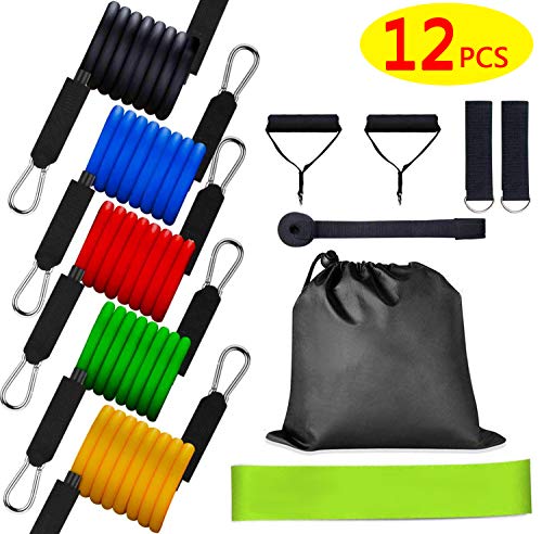 12 Pack Resistance Bands Set, 5 Piece Workout Bands Exercise Bands with Handles, Portable Home Gym A 12 Pack Resistance Bands Set, 5 Piece Workout Bands Exercise Bands with Handles, Portable Home Gym A