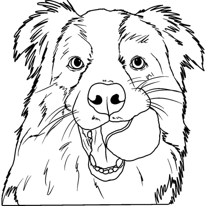 'Border Collie with Ball' Rubber Stamp - Unmounted Design for Crafting & Scrapbooking, A7 (RS00049333)