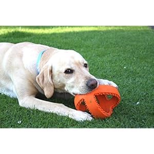 Happy Pet – Cultivator Football – 18 cm – Dog Toy – 1 Piece