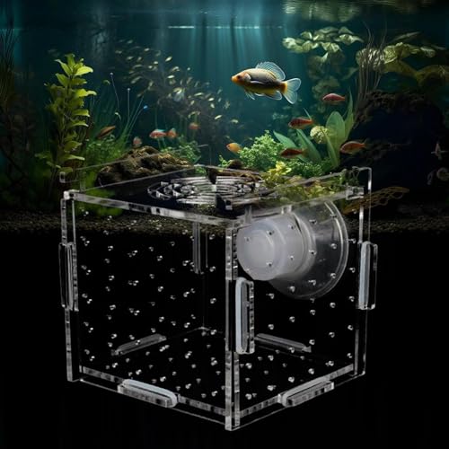 Aufzuchtbecken Aquarium Acryl Fischzuchtkasten Ablaichkasten Aquarium Zuchtbecken Aquarium Aquarium Aufzuchtbehälter Acryl Fisch-Isolationsbox mit Saugnäpfen Aquarium Zucht Isolation Box 10*10*10CM