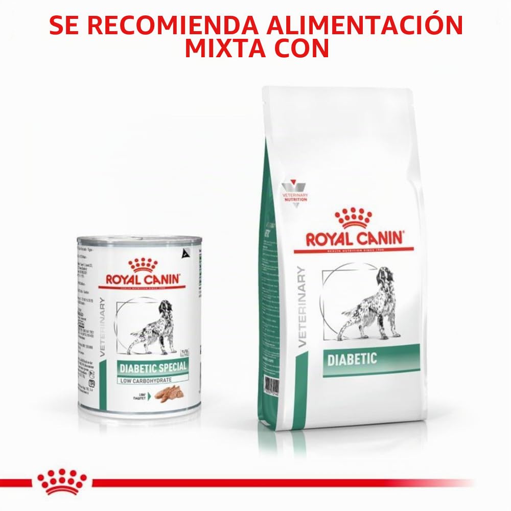 Royal Canin Veterinary Diabetic Special Low Carbohydrate Canine Mousse | 12 x 410 g | Alimento húmedo para perros adultos | Regulación del nivel de glucosa en sangre | Alto contenido en proteínas