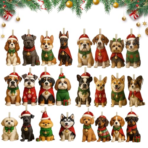 Croovepi NX}XJ_[JEg_E - 2DANJEg_ȆA24Ԃ̃NX}Xc[̃I[ig - zf[p[eB[c[fXNgFhAǗp