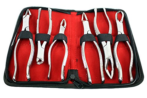 Life gears Bdeals American Pattern Dental Extracting Forceps 6PC Set Dental Instruments New