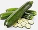 Heirloom Zucchini Seeds- Black Beauty Squash- 30+ 2015 Seeds