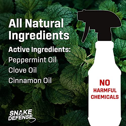 Exterminators Choice - Snake Defense Spray - Non-Toxic Repellent For Pest Control - Repels Most Common Type Snakes - Safe For Kids And Pets - Cinnamon Scented (32 Ounces) #TOP2