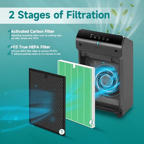 Image of 5510 Toxin Absorber Replacement Filter for Winix 5510 and 5520 Air Purifi-er, Filter Q Replacement Combo Pack Includes: 2 Main Filters & 2 Carbon Filter, Green