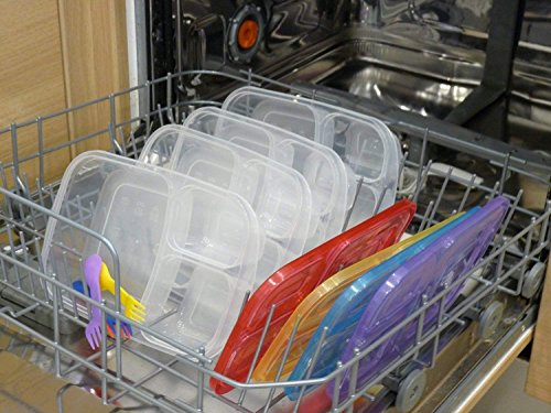 Bento Lunch Box 3 Compartment Food Containers – Set Of 6 Storage Meal Prep–For Adults, Toddler, Kids, Girls, And Boys – Free 2-In-1 Fork/Spoon & Puzzle Sandwich Cutter -Not Recommended For Liquid #TOP7