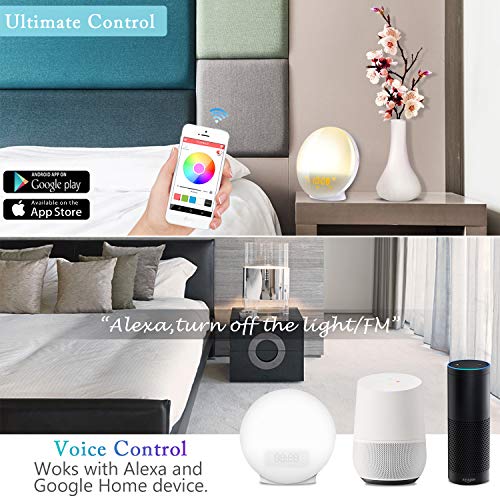 LATME-Sunrise-Alarm-Clock-Wake-Up-Light Compatible with Alexa Google Home with Colored Sunrise Simulation and Sunset Fading Night Light for bedrooms,FM Radio,4 Alarms with Snooze Function (White-G1)