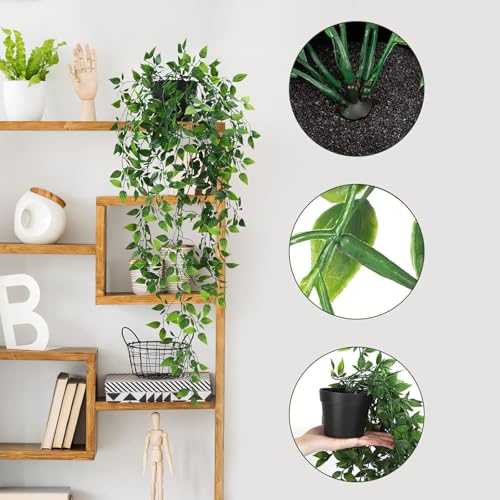 Home Page - Paul - Cosy Home Interiors