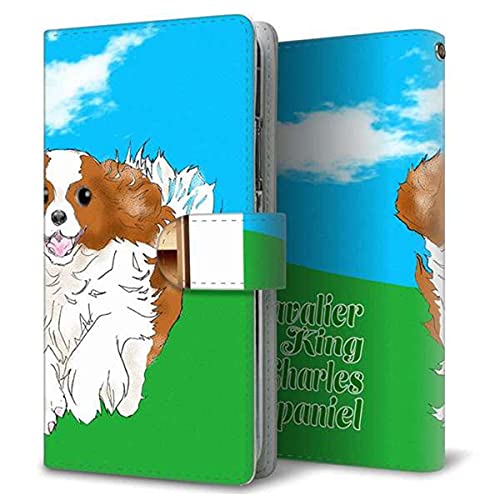 SIMt[ AQUOS sense10 SH-M33 蒠^ X}z P[X Jo[ yXeb`^Cvz YD887 LoALO`[YXpjG03 J UV 󒍐Yi