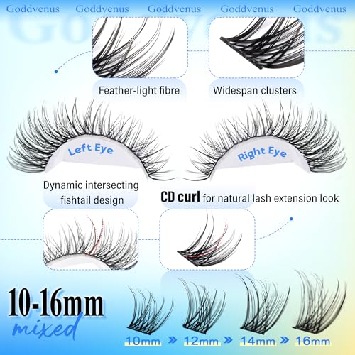 Image of Wispy Lash Clusters Natural Lashes Clusters Wispy Eyelash Clusters CD Curl Cluster Eyelash Extensions DIY Individual Lashes Invisible Band Lash Extension Fluffy Eyelashes Clusters
