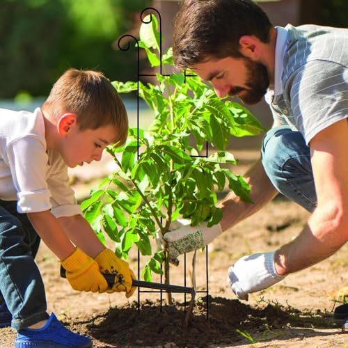 Arche de jardin robuste pour aménager un potager de légumes et pois - 7