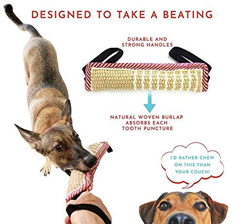 2x Jute Beißwurst Für Hunde - Hundespielzeug Zum Tauziehen & Training Mit Griffen