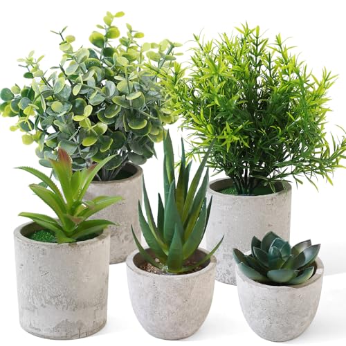 5 Piezas Plantas Artificiales Decorativas Pequeñas, Planta Artificial de Plástico de Serpiente Suculentas, Macetas Artificiales Decoracion para Decoración Baño Hogar Cocina Dormitorio Oficina Casa