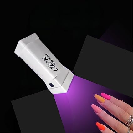 RDR Rechargable UV 395NM & 500Lm Flashlight Ultra Violet Portable Light UV Torch Light (Clara 2200-uv9)