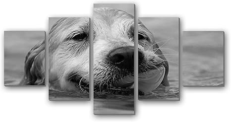 Amazon Co Jp ゴールデンレトリバーがプールでおもちゃをフェッチする 動物 166 白黒 5枚 パネル アートパネル 現代壁の絵 壁掛け部屋飾り背景絵画 キャンバス写真 壁アートしゃしん 木枠付きの完成品 装飾 軽くて取り付けやすい ホーム キッチン Amazon Co Jp ゴールデンレトリバーがプールでおもちゃをフェッチする 動物 166 白黒 5枚 パネル アートパネル 現代壁の絵 壁掛け部屋飾り背景絵画 キャンバス写真 壁アートしゃしん 木枠付きの完成品 装飾 軽くて取り付けやすい ホーム キッチン