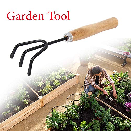 DeoDap Gardening Tools kit for Home Gardening Set | Hand Cultivator | Small Trowel | Garden Fork | with Gardening Reusable Gloves | Gardening Set with Smooth Finish Wooden Handles | Set of 4pcs |