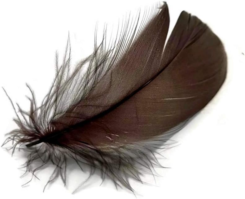 Moonlight Feather | 1/4 Lb - Brown Goose Coquille Loose Feathers Wholesale (Bulk) Arts and Craft Supplier