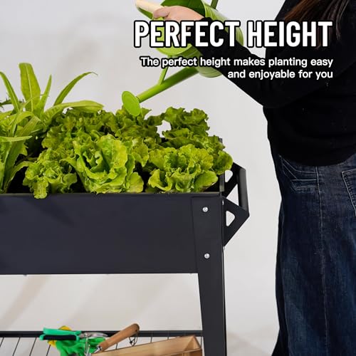 LEETOLLA Elevate 32" Tall Raised Garden Bed Outdoor with Wheels & Shelf for Mobility, 400LBS Capacity, Anti-Rust Steel Planter Box for Ve...