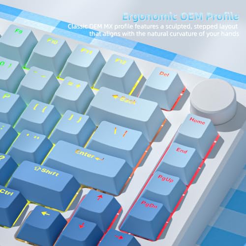 Image of Womier Shine Through Keycaps, Blue PBT Keycaps