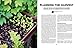 Year-Round Gardening: Growing Vegetables and Herbs, Inside or Outside, in Every Season