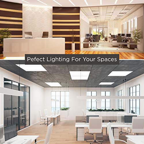 F32T8/865/ECO 32W 48 Inch T8 Fluorescent Light Bulb | 6500K Full Spectrum Medium Bi-Pin Base | 3050 Lumens 86 CRI 24000 Life Hours | Instant/Programmed Start | 25 Pack by GoodBulb