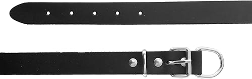 Miniatura 2 de MONODOG - Collar de cuero de alta calidad, collar recto duradero y moderno para un control y entrenamiento cómodos (pequeño (9 34-12 15 pulgadas),
