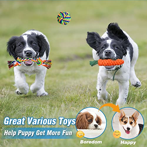 Upsky Dog Chew Toys For Puppy Teething 15 Pack Dog Rope Toys, Interactive Puppy Teething Chew Toys For Small, Medium Dogs, Durable Tug Of War Toys Small Dog Squeaky Toys For Boredom #TOP4
