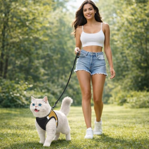 Image of Berlin's Cat Harness with Leash for Outdoor, Walking, Escape Proof, Air Mesh Fabric, Easy Control, Adjustable & Durable Cat Leash with Harness for Cats (Black-Golden, Large)