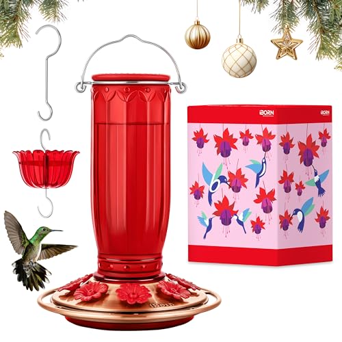 iBorn Glass Hummingbird Feeder for Outdoors Hanging Ant and Bee Proof Ant Moat for Hummingbird Feeder 8 Ports for 16oz Hummingbird Nectar,Brushed Copper Base Red Glass, Pack of 1, 2024 New
