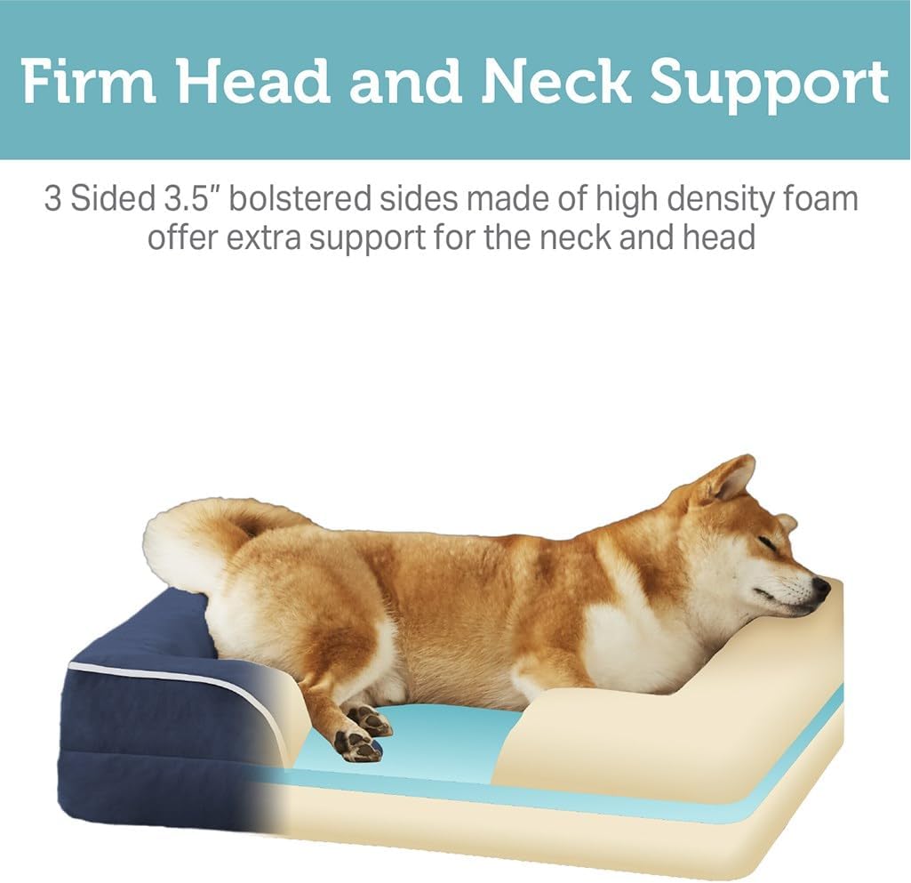 Discover Comfort: Friends Forever Orthopedic Dog Bed Review for Large Breeds