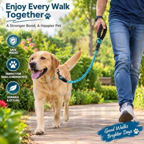 Image of PetVogue FT Nylon Rope Dog Leash, Heavy Duty Training & Walking Lead for Small, Medium & Large Dogs, Reflective Pet Walking Cord with Comfortable Padded Handle & Strong Metal Clip (Blue)
