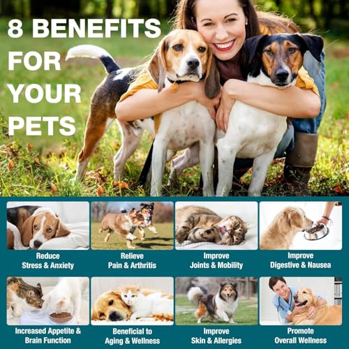 (5 Pack) Organic Hemp Oil for Dogs & Cats Helps Pets with Anxiety, Pain, Stress, Sleep, Arthritis, Seizures Relief - Skin, Hip & Joint Care - Calming Treats, Pet Hemp Oil Drops - Thumbnail 2
