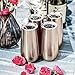 Maxdot 6 Pieces Champagne Tumbler Stemless Champagne Flutes Double Insulated Mini Champagne with Lips Stainless Steel Cocktail Cups for Coffee Wine Glass Tumbler(Champagne,6 oz)