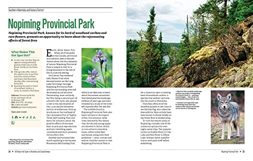 110 Nature Hot Spots In Manitoba And Saskatchewan: The Best Parks, Conservation Areas And Wild Places #TOP2