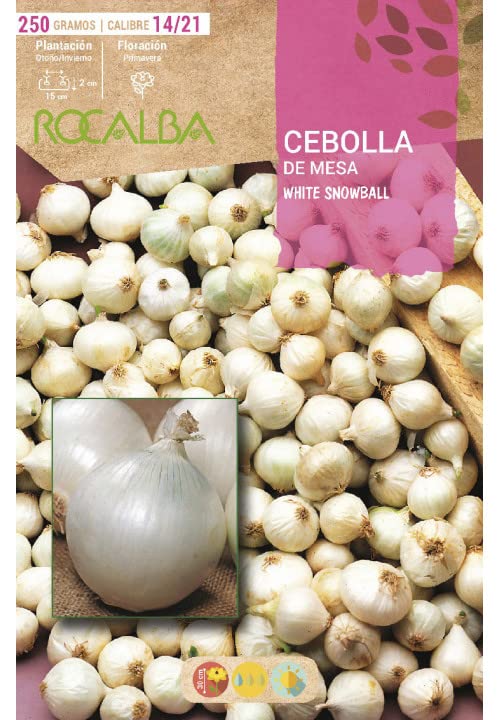 Bulbo de cebolla para plantar variedad 'white snowball ' 250gr - Rocalba