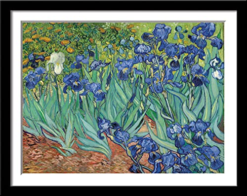 Image of Tallenge - Set of 10 Best of Vincent Van Gogh Paintings (Vol 2) - Small Poster Paper - Framed (Paper, 12 x 17 Inches, Multicolor)